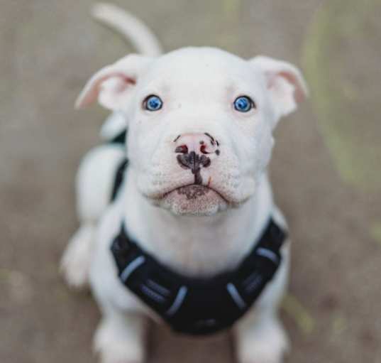 Photo of Beckham