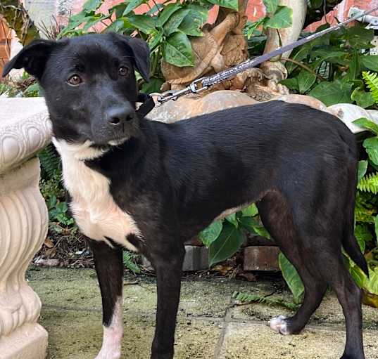 Photo of Mavis