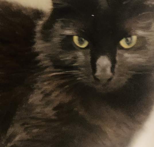 Photo of Little B