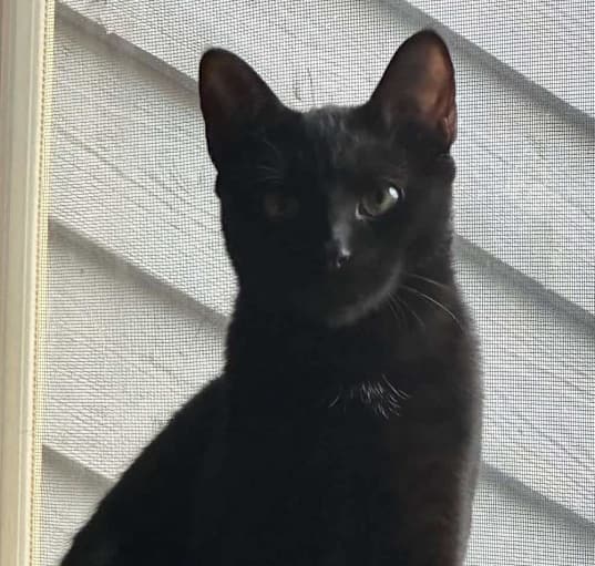 Photo of Marcus