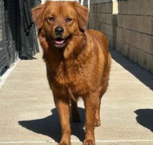 Photo of Missie