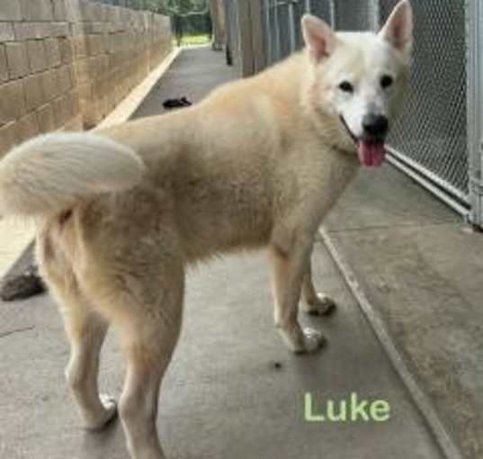 Photo of Luke
