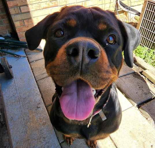 Photo of Nahla