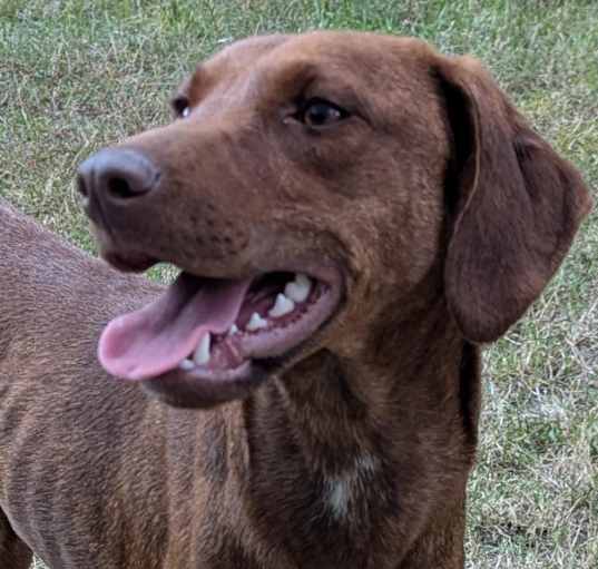 Photo of Gemma 24-0648