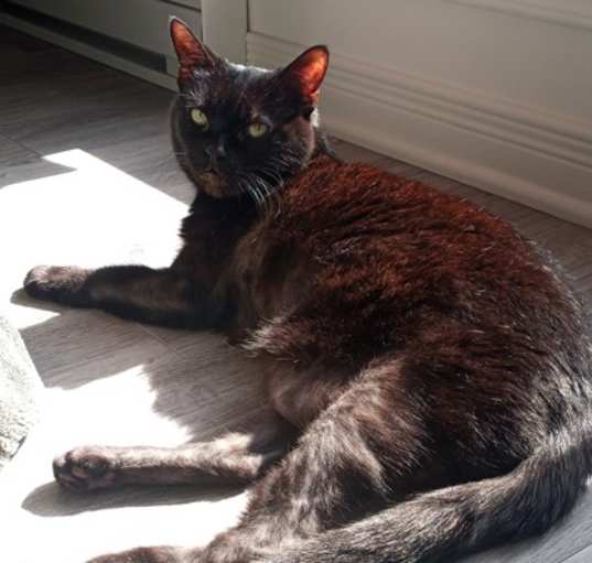 Photo of Toupie