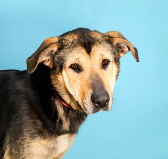 Photo of Snickers*
