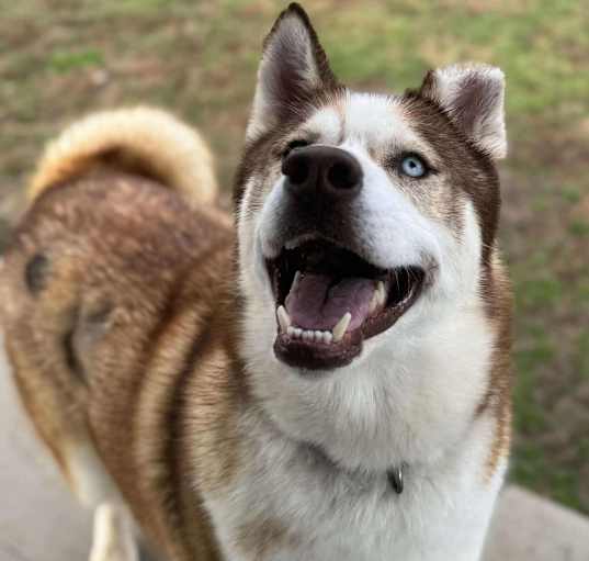 Photo of Bobbi