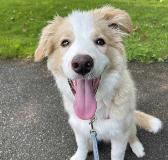 Photo of Theodore