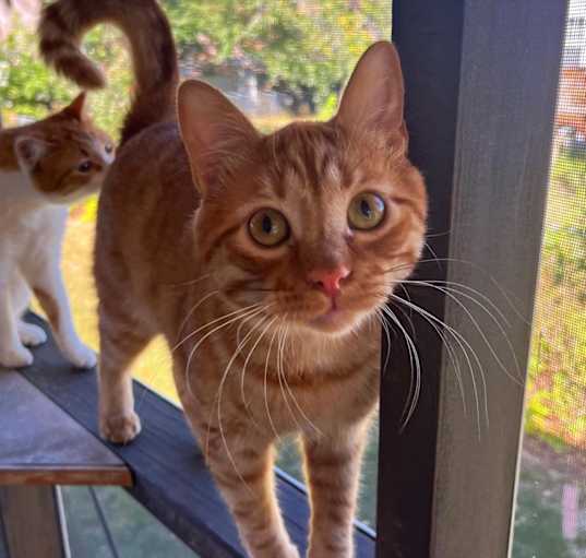 Photo of Fry