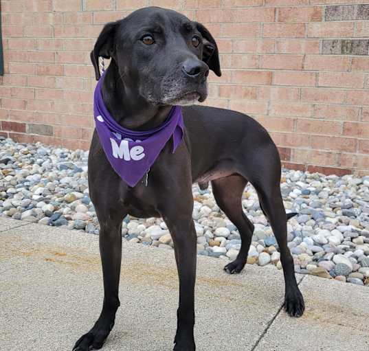 Photo of Bentley