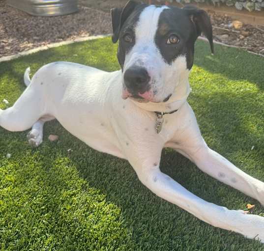 Photo of Leroy