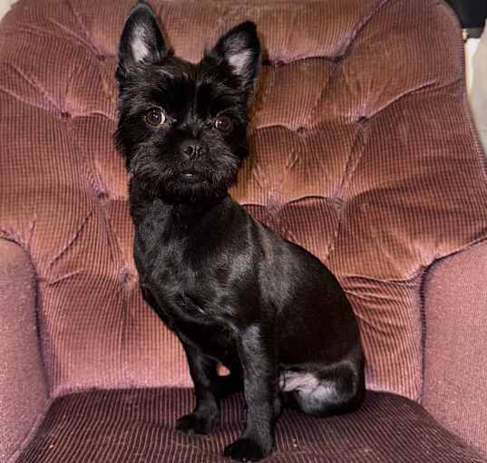 Photo of Mavis