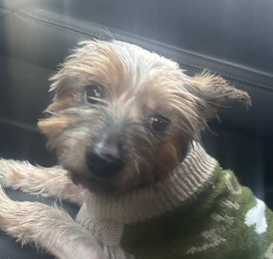 Photo of Jack Jack