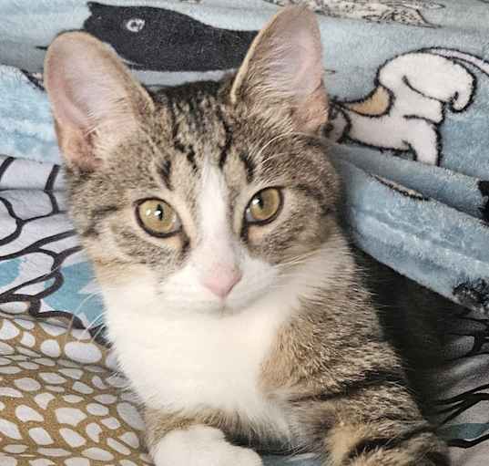 Photo of Seeker