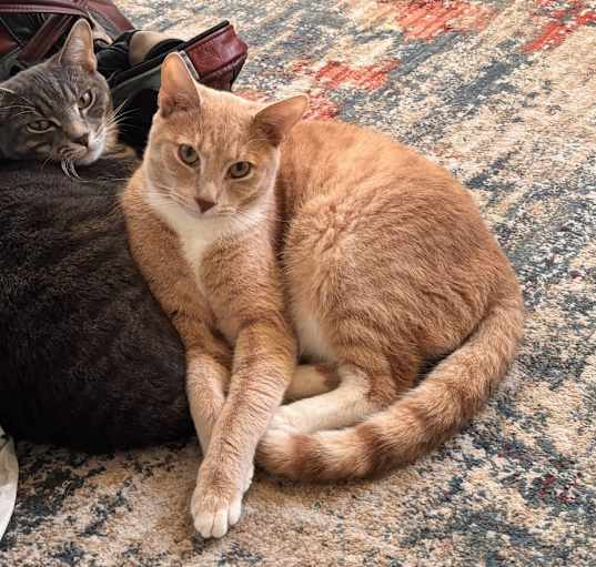 Photo of Toni and Braxton
