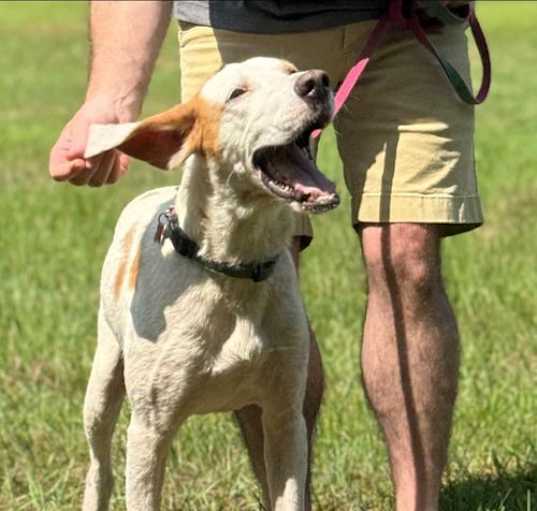 Photo of Gus