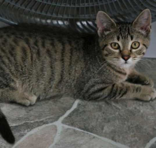 Photo of Chowder