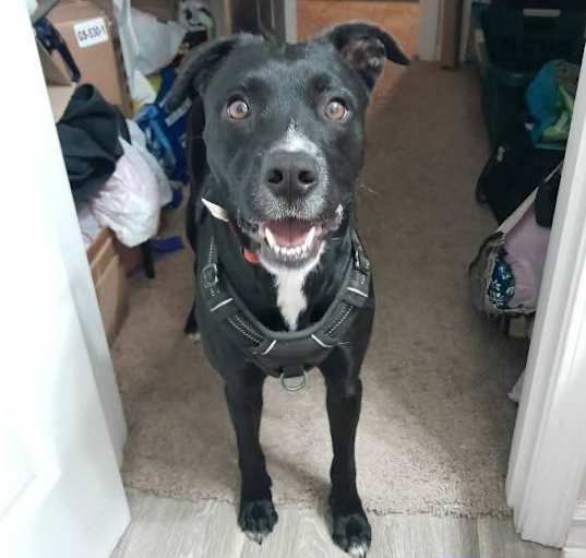 Photo of Ezzie