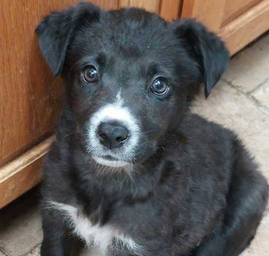 Photo of Jasmine