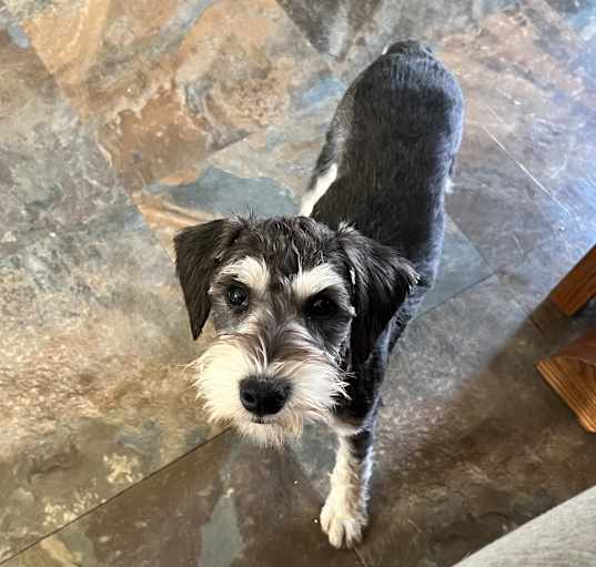 Photo of Knox