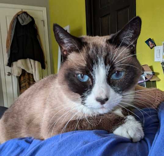 Photo of Pretty Girl