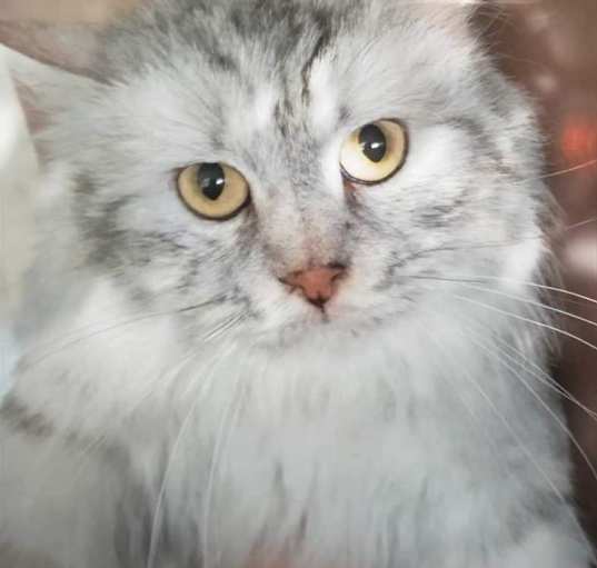 Photo of Muriel
