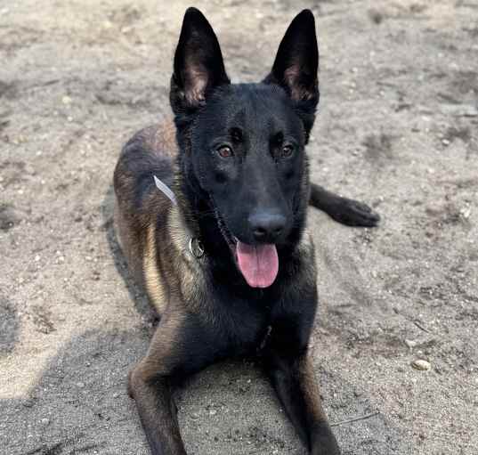 Photo of Rex located in NY