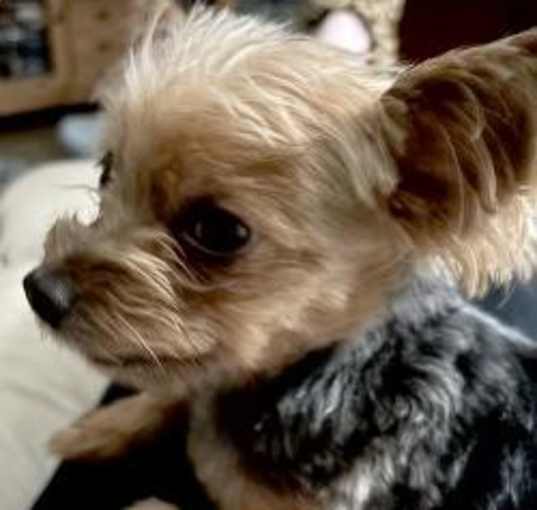 Photo of Charlie