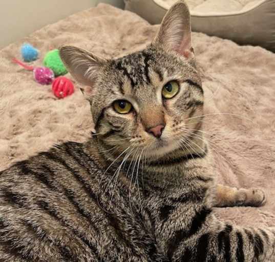 Photo of Louie (LE)