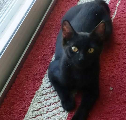 Photo of Beanie