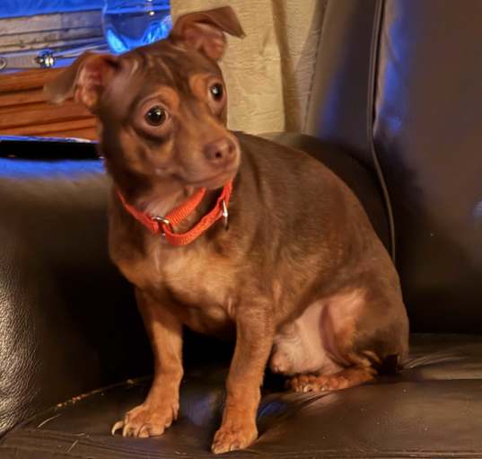 Photo of Oakley
