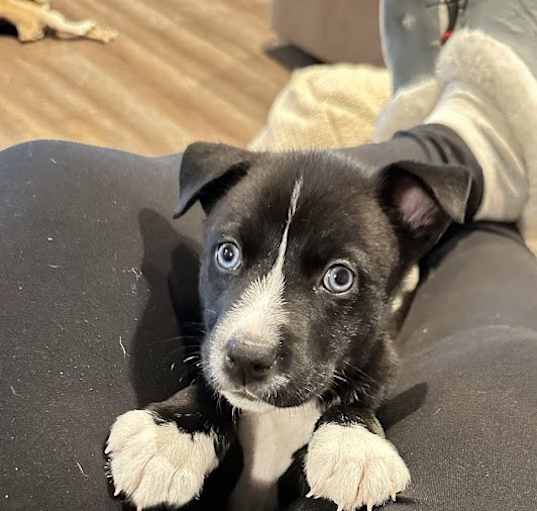 Photo of Baby Girl Astra