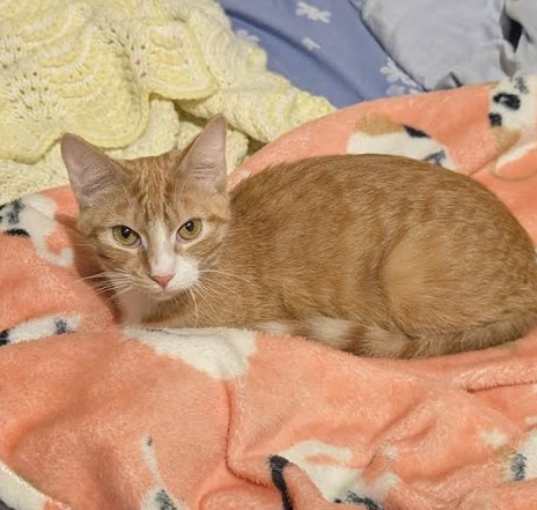 Photo of Baxter