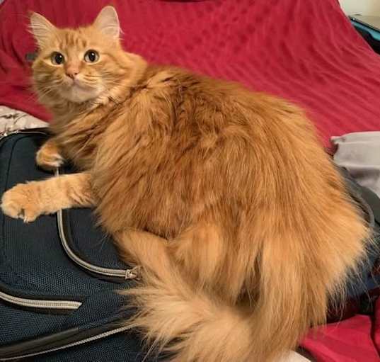 Photo of Molly