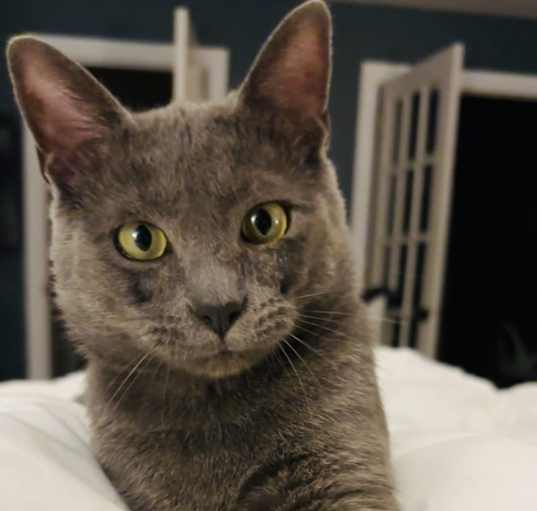 Photo of Asher