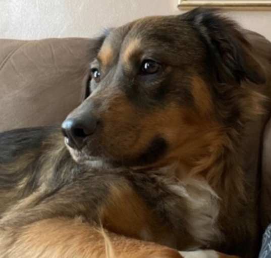 Photo of Bonnie