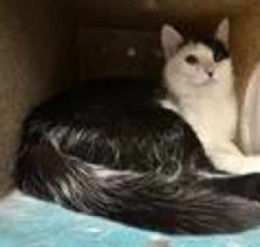 Photo of Meredith
