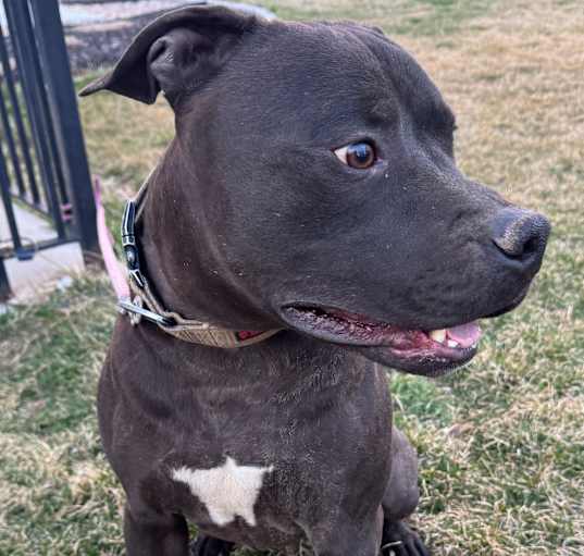 Photo of Zeus