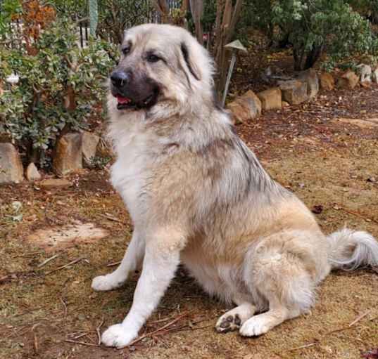 Photo of Marshi