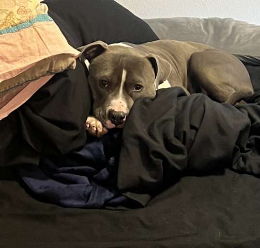 Photo of Ghost