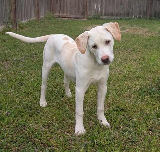 Photo of Max