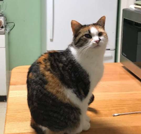 Photo of Mama Girl- sponsored!
