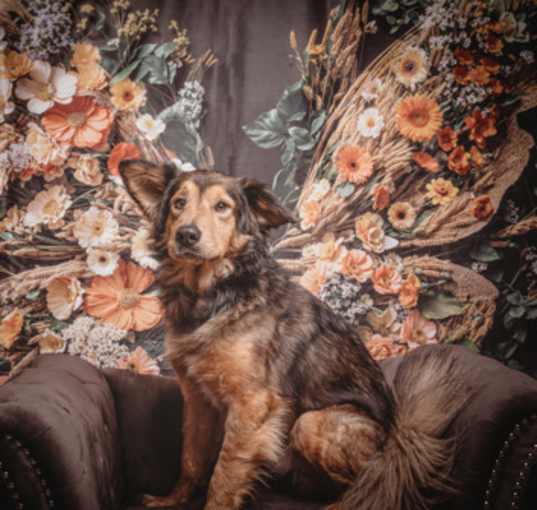 Photo of Junior