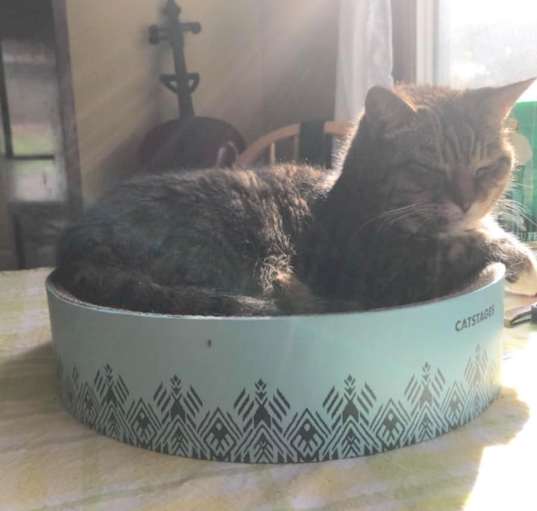 Photo of Cleopatra - sponsored!