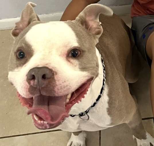Photo of Kona