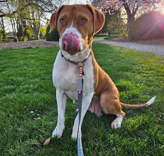 Photo of Chloe