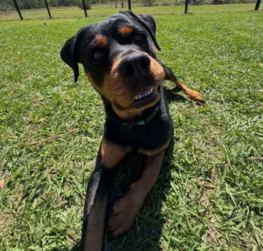 Photo of Hazel