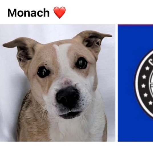 Photo of MONARCH