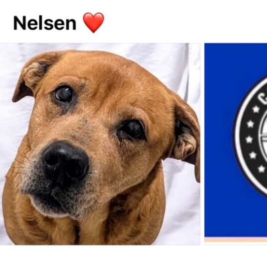 Photo of NELSON