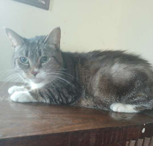 Photo of Karley